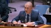 Vietnam urges protection of women, girls from sexual violence in conflict